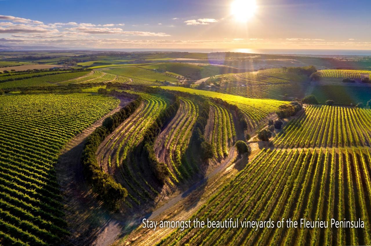 Bed and Breakfast The Old Chaff Mill Organic Vineyard Retreat Sellicks Hill Экстерьер фото