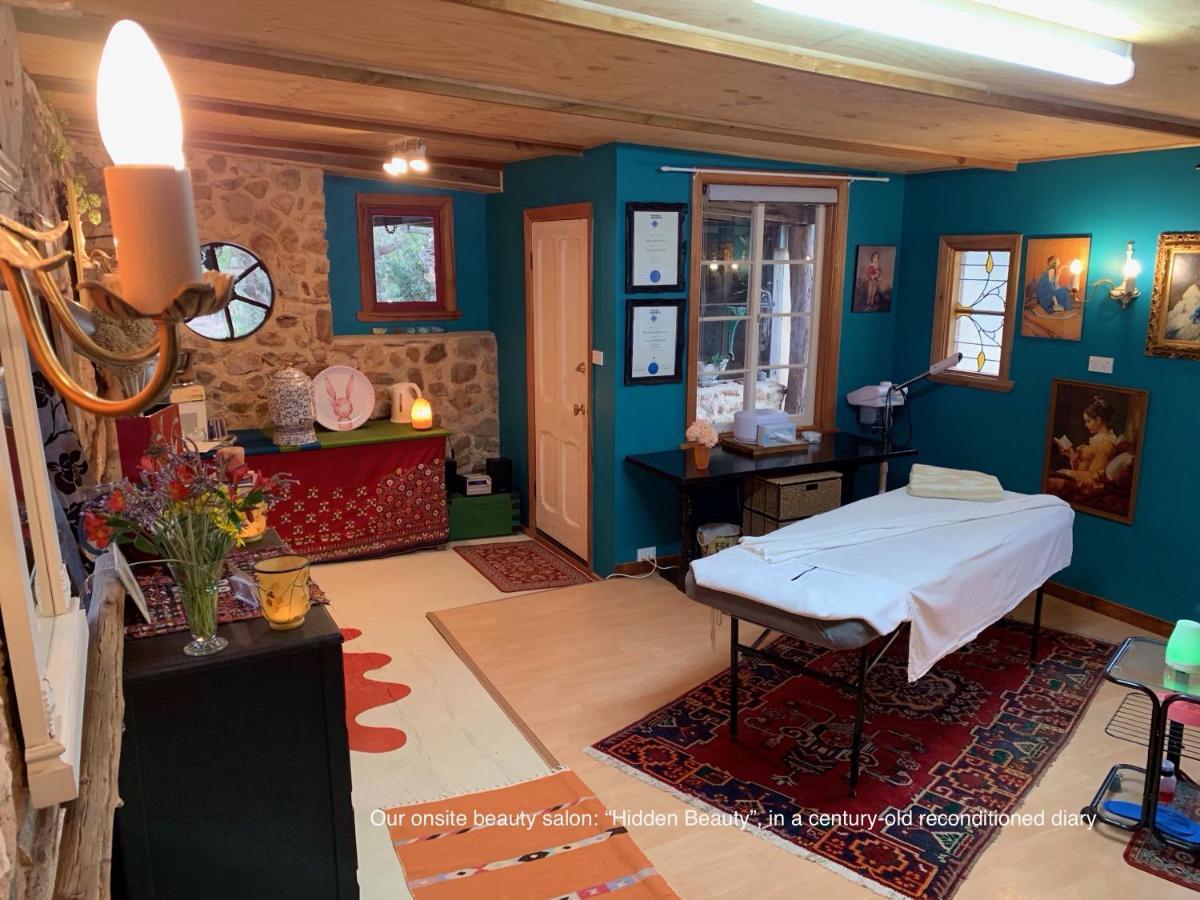 Bed and Breakfast The Old Chaff Mill Organic Vineyard Retreat Sellicks Hill Экстерьер фото