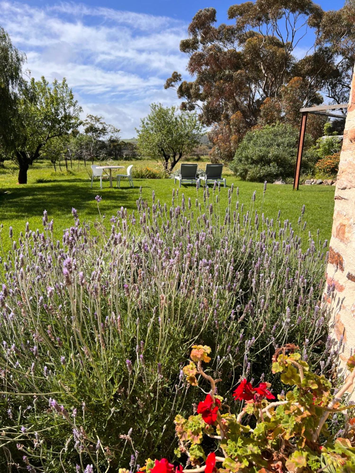 Bed and Breakfast The Old Chaff Mill Organic Vineyard Retreat Sellicks Hill Экстерьер фото